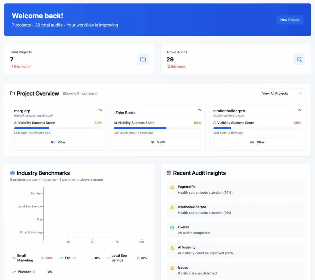 AI Visibility Audit dashboard showing project insights and visibility scores