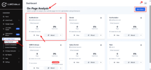 How to use On Page Audit feature